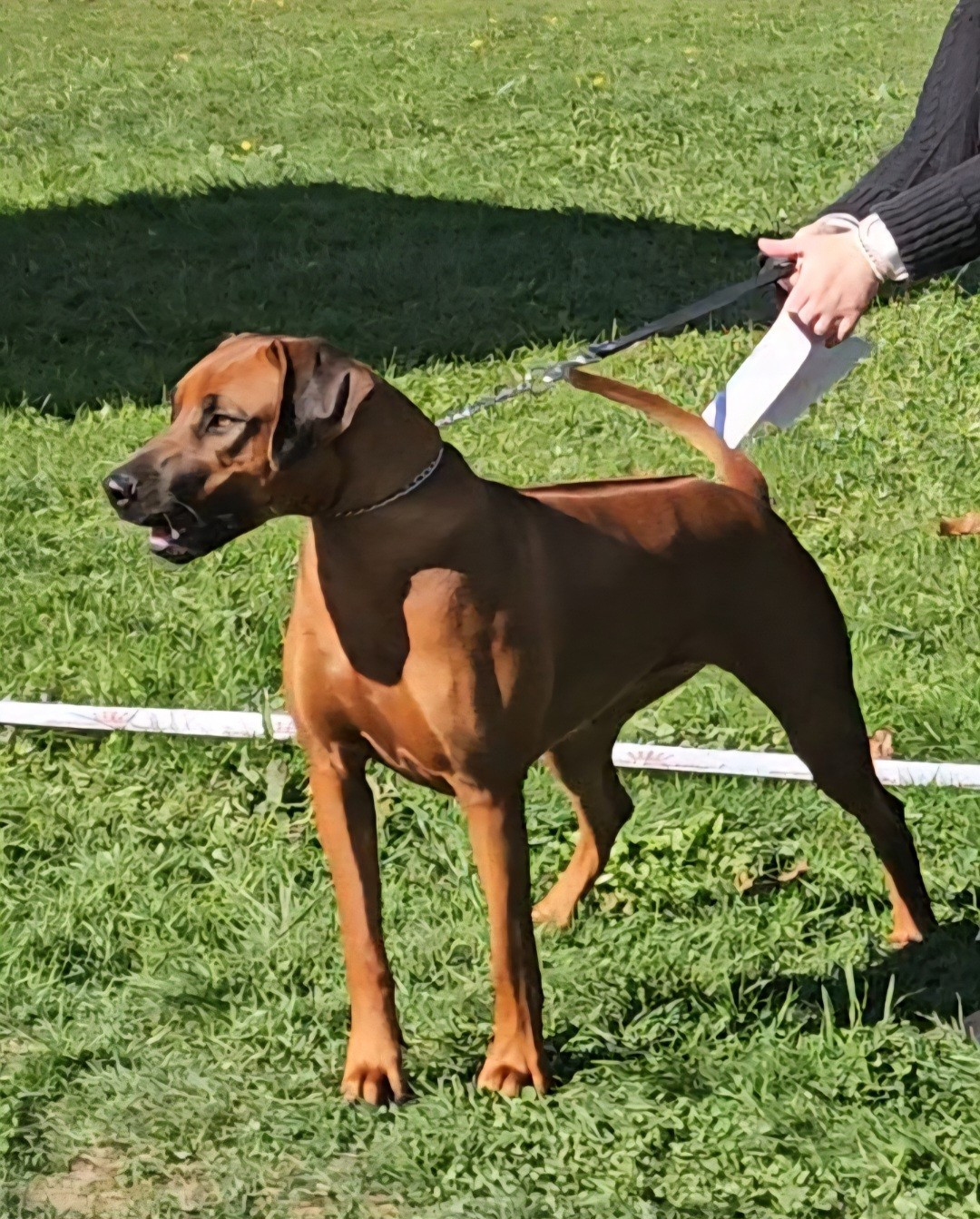 Uma De La Ligue Du Staff'n Co