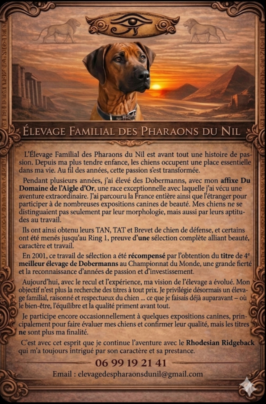 Présentation de l Élevage Familial des Pharaons du Nil